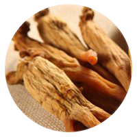 Korean Red Ginseng