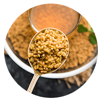 Fenugreek Seed Extract