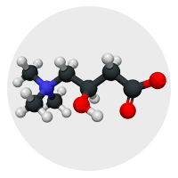 L-Carnitine