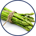 Asparagus Adscendens
