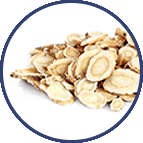 Astragalus Root