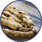 Panax Ginseng